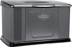 Генератор газовый Briggs & Stratton 040491 Киев